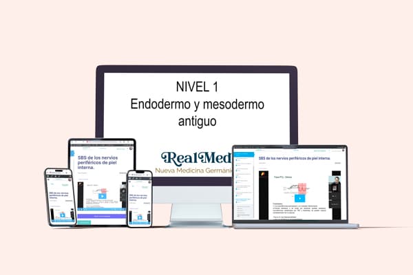 Curso Nueva Medicina Germánica (NMG) endodermo y mesodermo antiguo