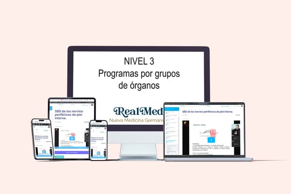 Curso Nueva Medicina Germánica (NMG) programas por grupos de órganos